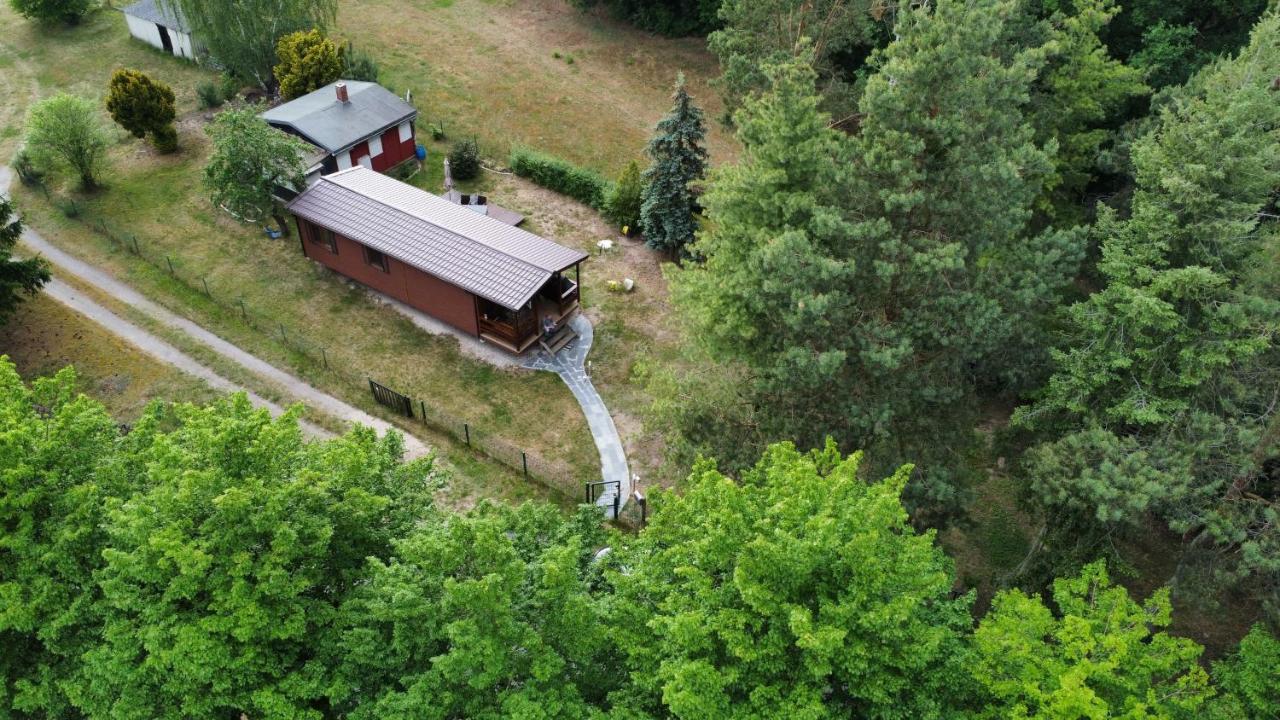 Apartament Tiny House Am Wald Krina Zewnętrze zdjęcie